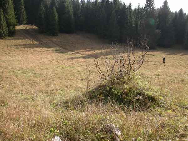 Sur le chemin de Buclaloup