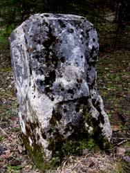 Borne de la Bune (Champfromier)