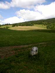 Borne du Pr&eacute; Boussonnet