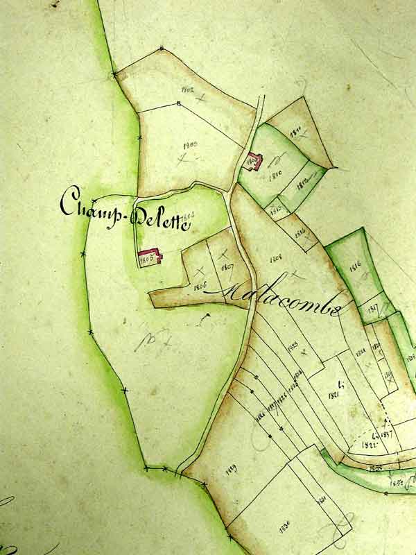 Plan Napoleonien  18331883