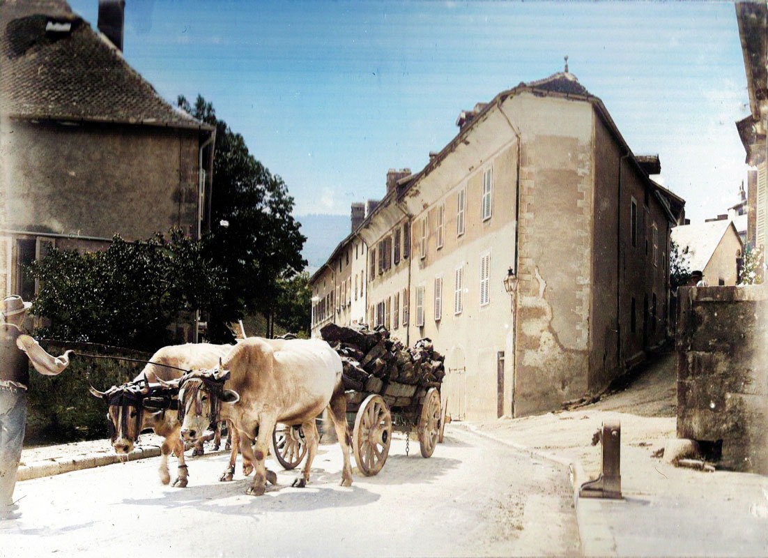 Boeufs rue Aim&eacute; Bonneville