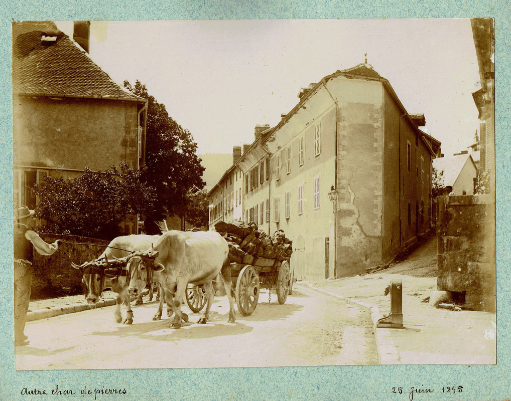 Boeufs rue Aim&eacute; Bonneville