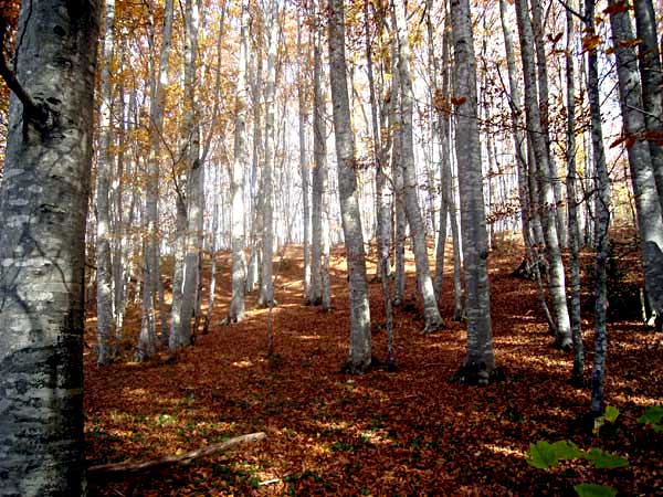 Photo &copy; G. Lancel