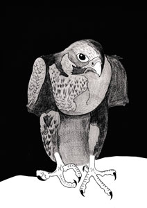 Faucon p&egrave;lerin