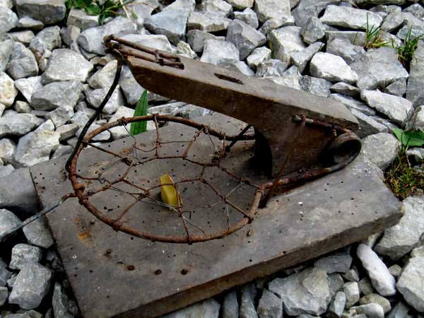 Pi&egrave;ge, assommoir en grillage