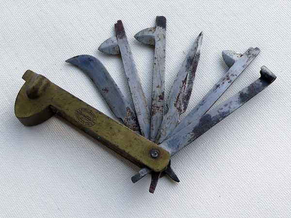 Flamme de v&eacute;t&eacute;rinaire