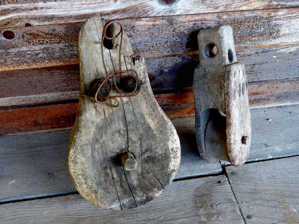 Catelle, cat&ocirc;le