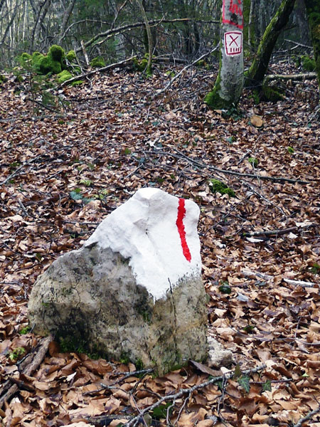Bornes et marques foresti&egrave;res