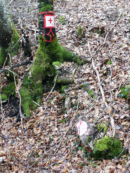 Bornes et marques foresti&egrave;res