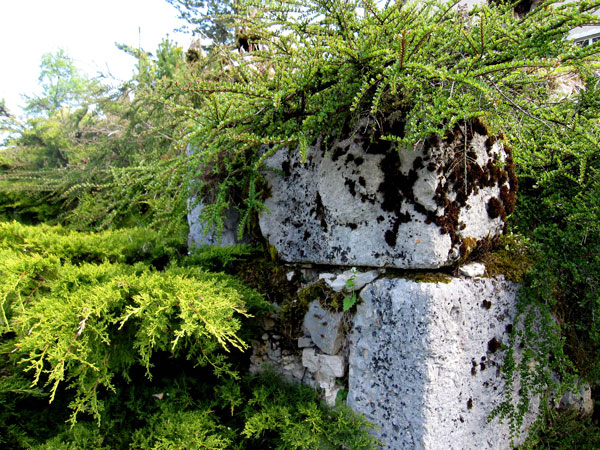 Pierre à sel de Marnod